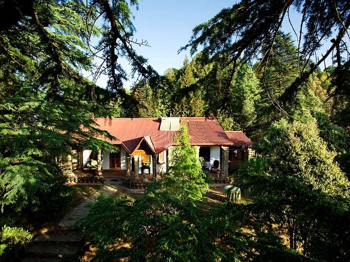 Mary Budden Estate