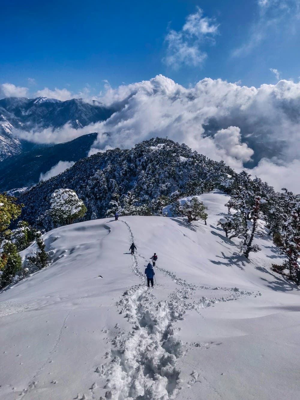 Adi Kailash & Jolingkong Darshan