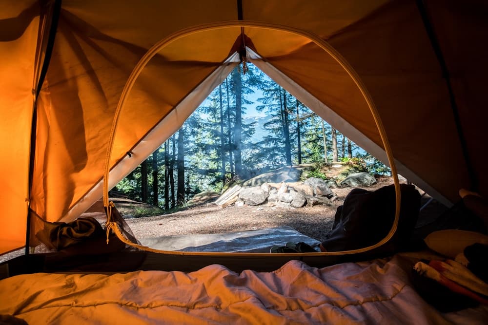 Nabi Camp
